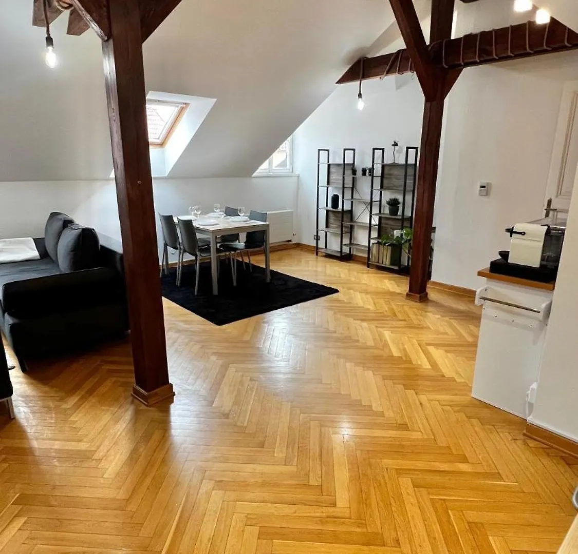 Miru Loft Prague Apartment